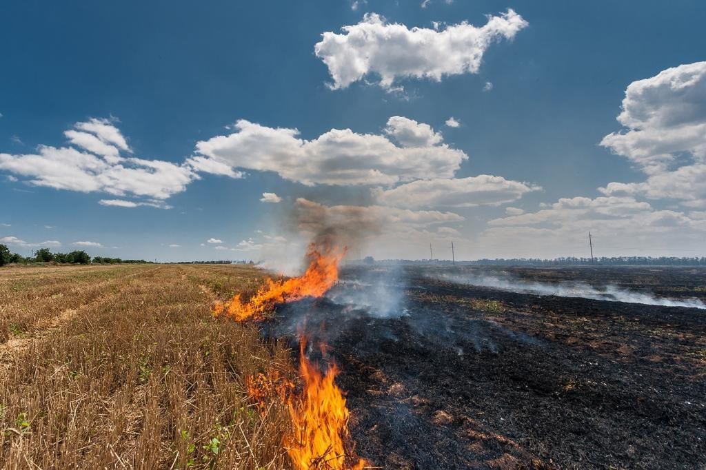 Crop residue burning, when this stops?